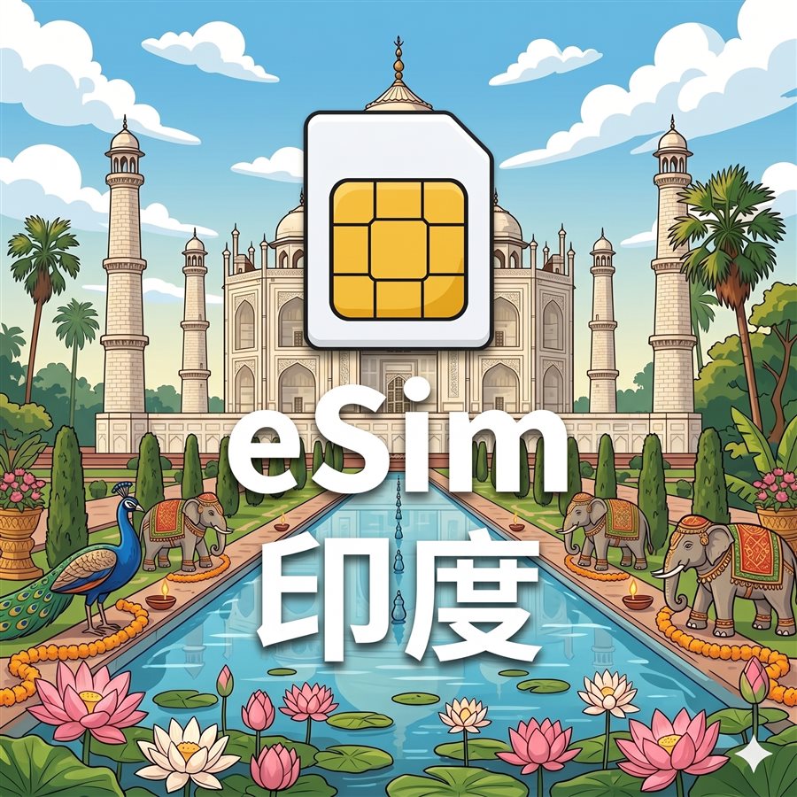 印度 eSIM 1G/7Days